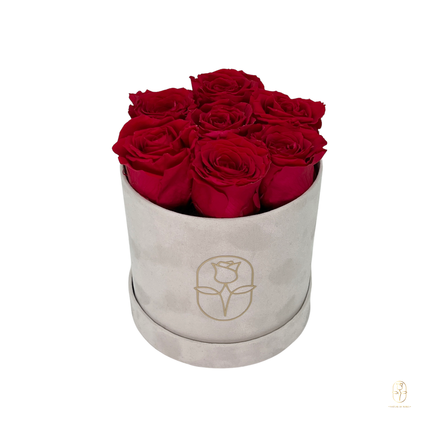 Velvet Round Eternal Rose Box Collection | Small