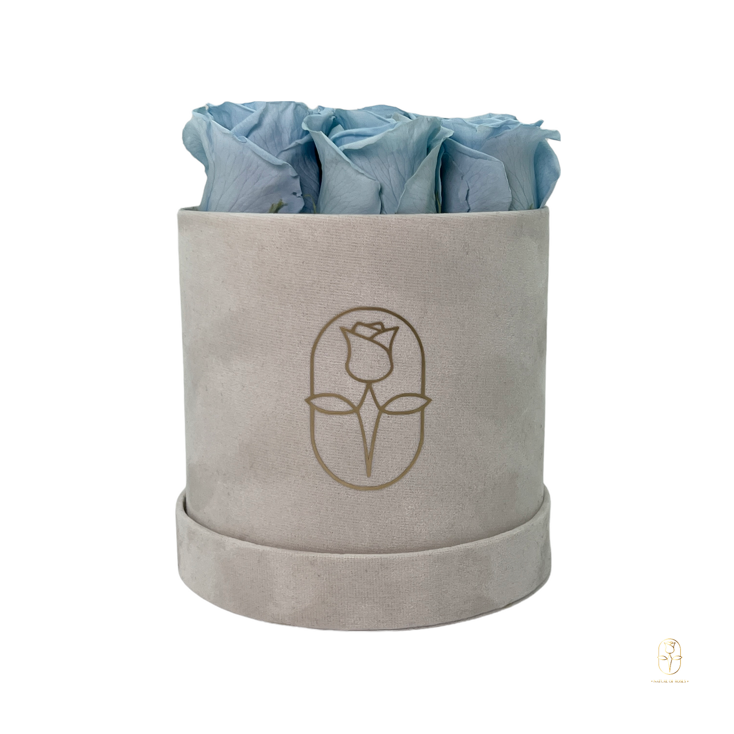 Velvet Round Eternal Rose Box Collection | Small