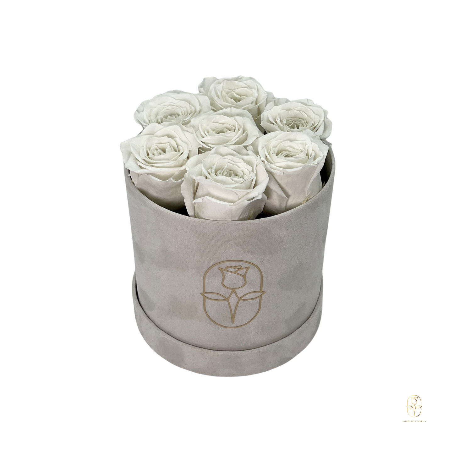 Velvet Round Eternal Rose Box Collection | Small