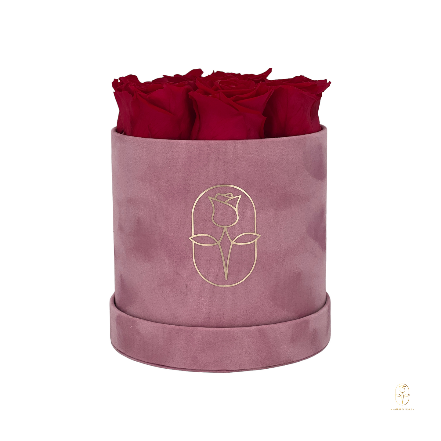 Velvet Round Eternal Rose Box Collection | Small