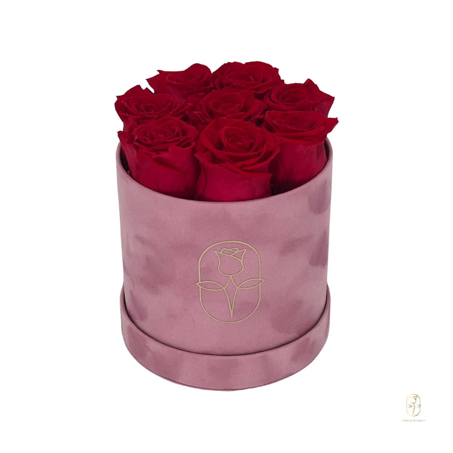 Velvet Round Eternal Rose Box Collection | Small