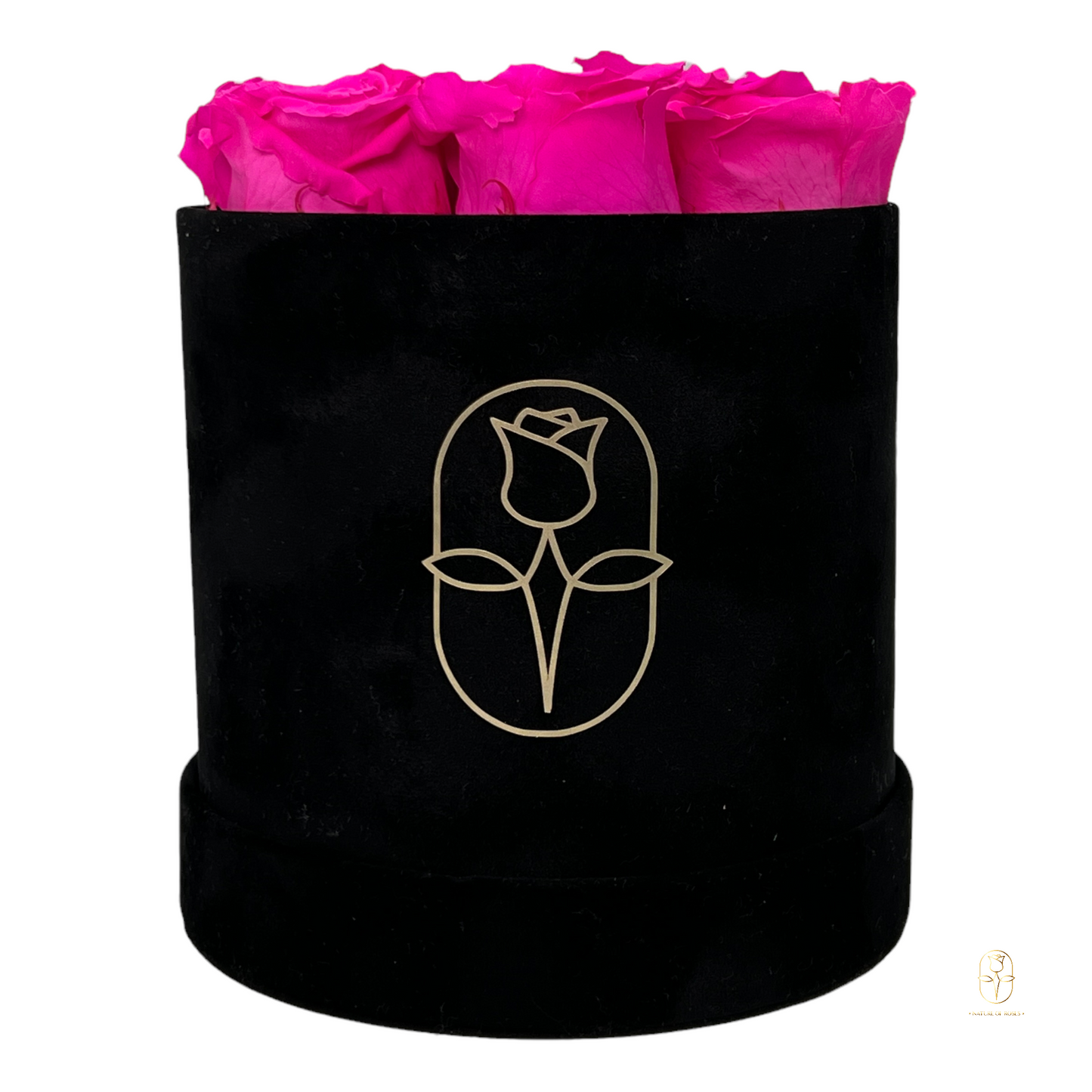 Velvet Round Rose Box Collection | Large