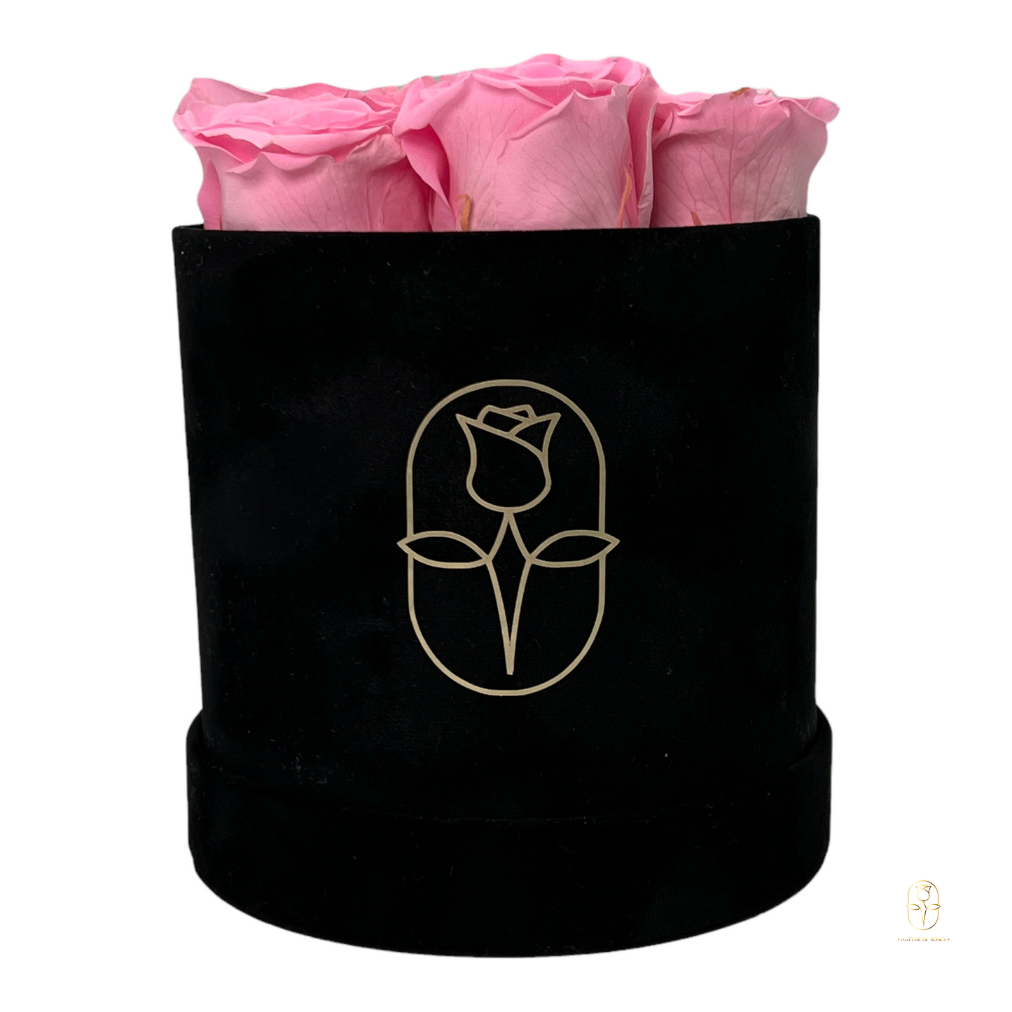 Velvet Round Rose Box Collection | Large