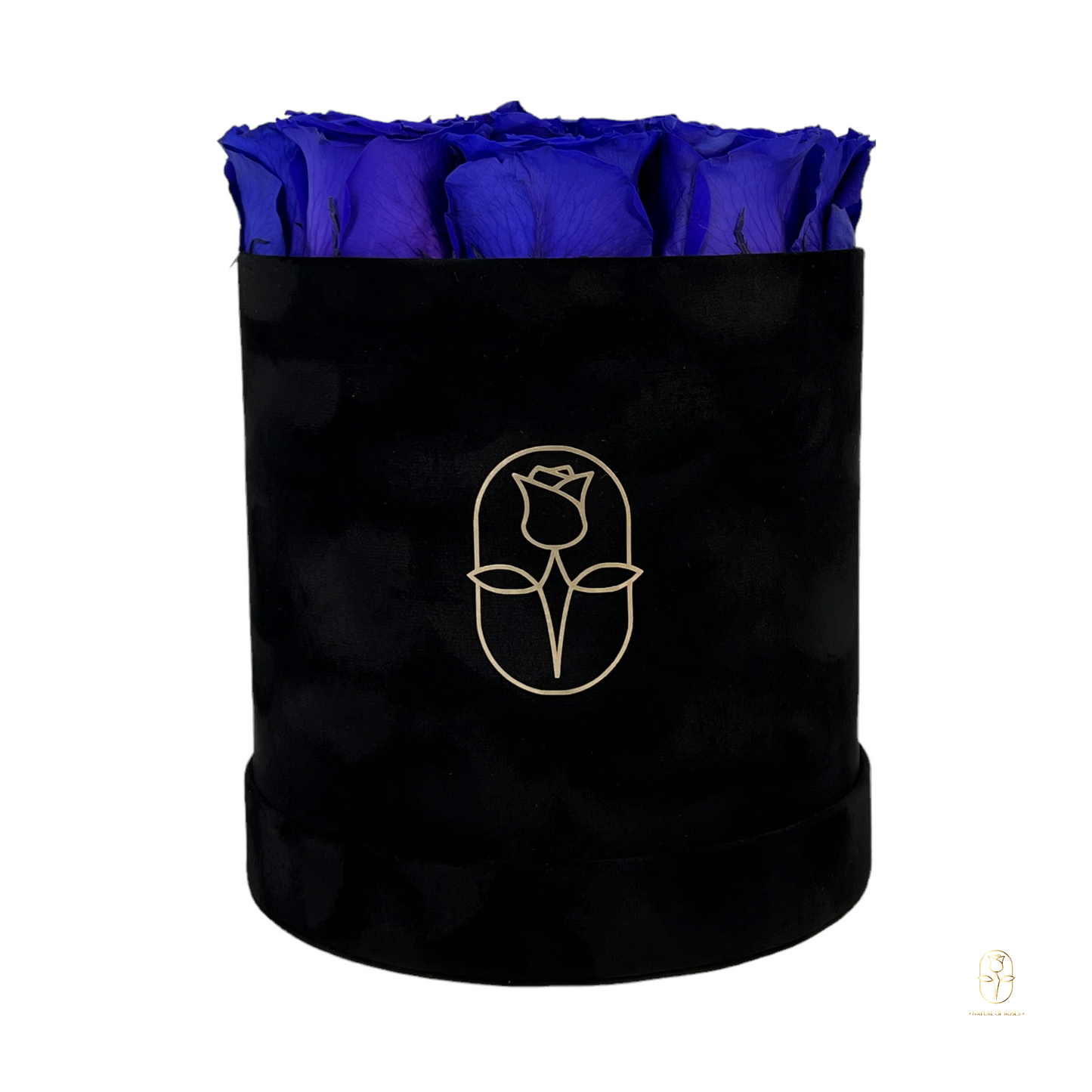 Velvet Round Rose Box Collection | Large