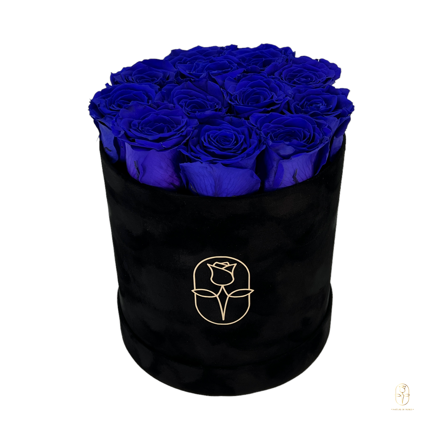 Velvet Round Rose Box Collection | Large