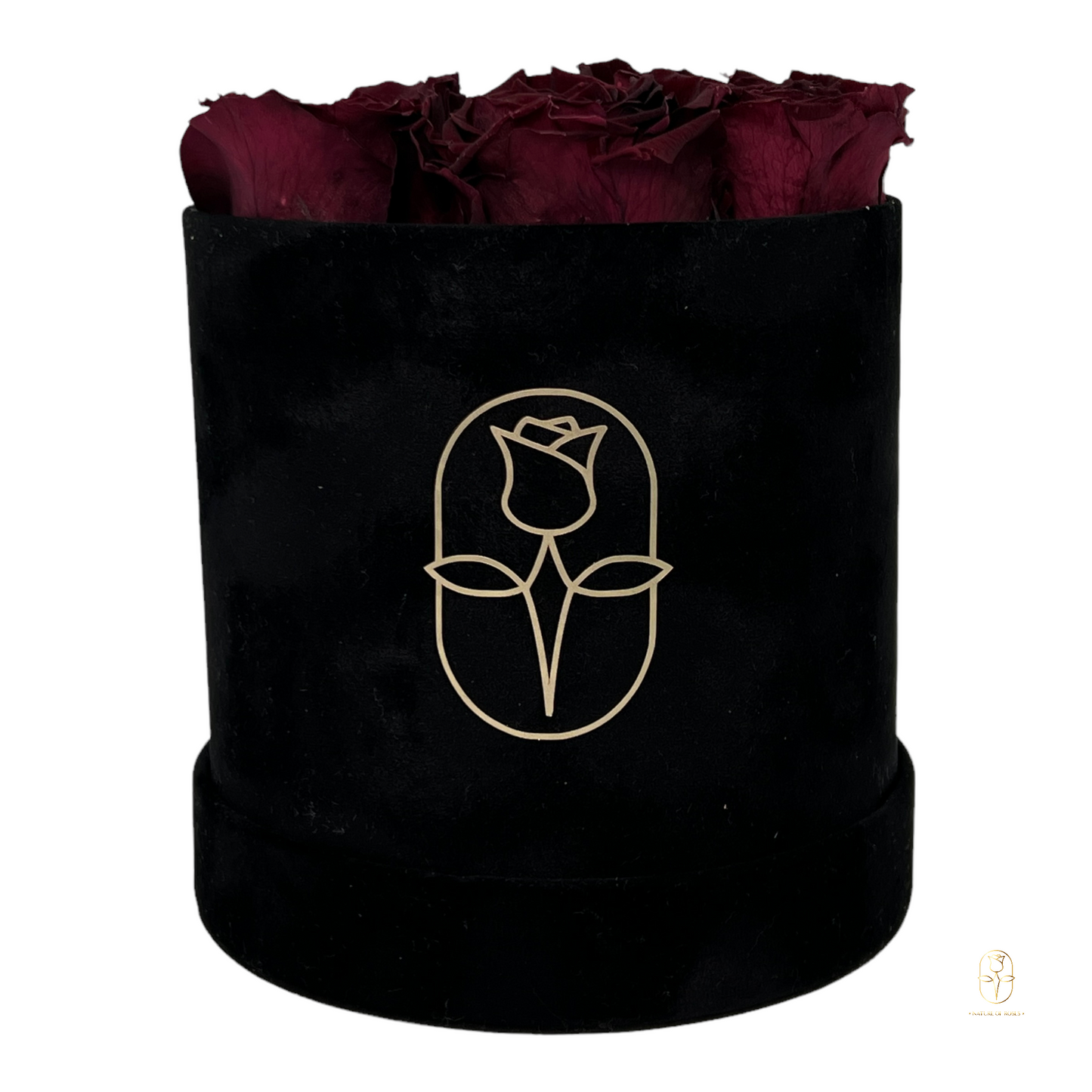 Velvet Round Rose Box Collection | Large
