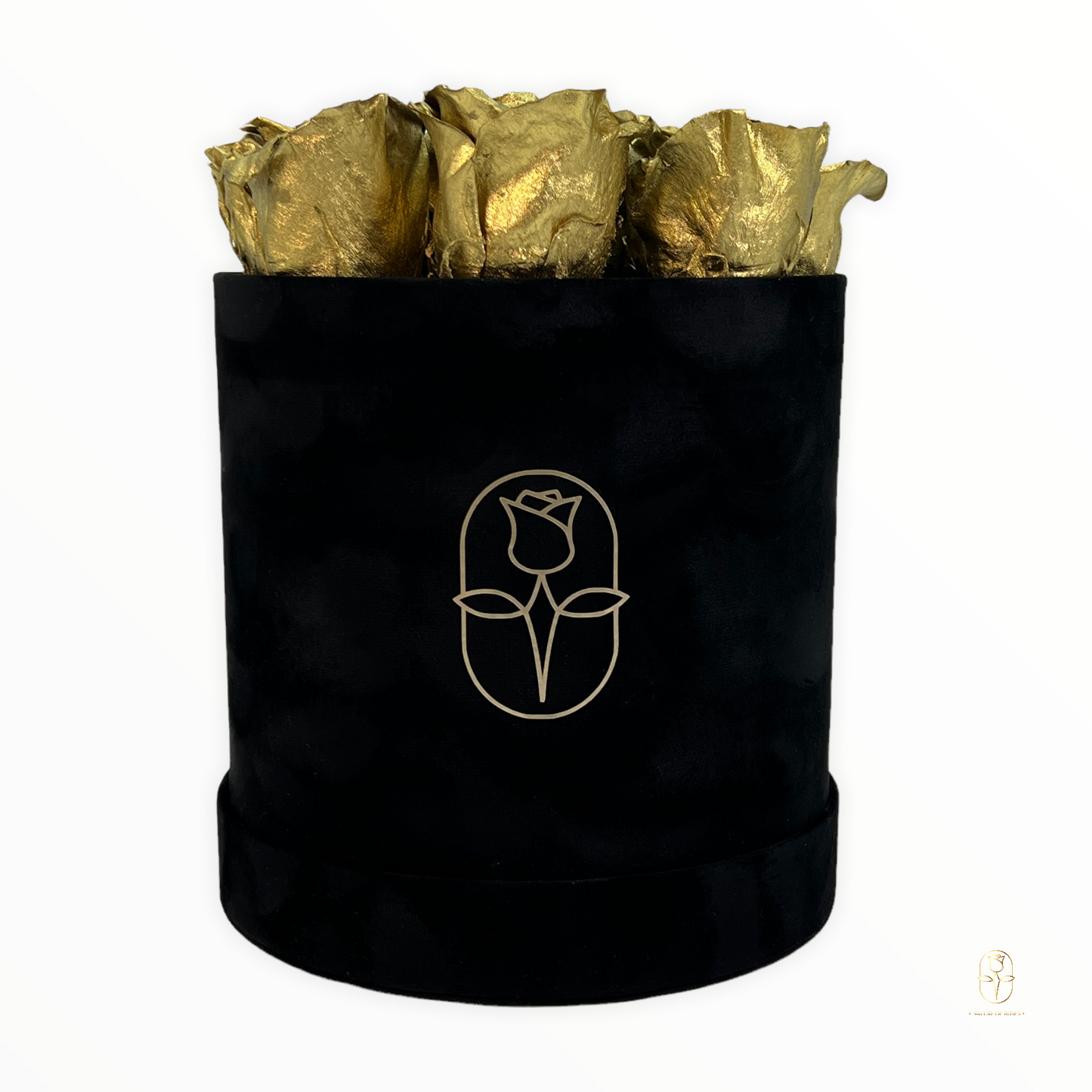 Velvet Round Rose Box Collection | Large