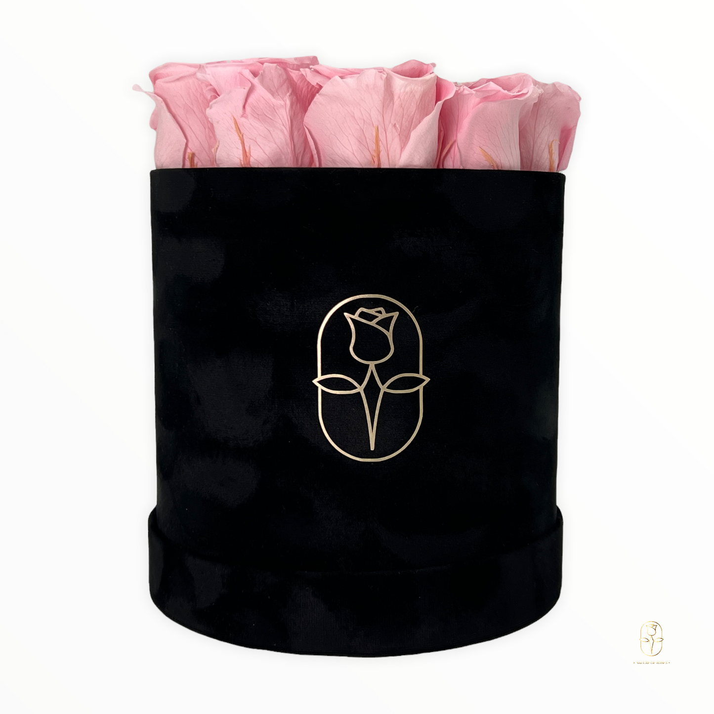 Velvet Round Rose Box Collection | Large