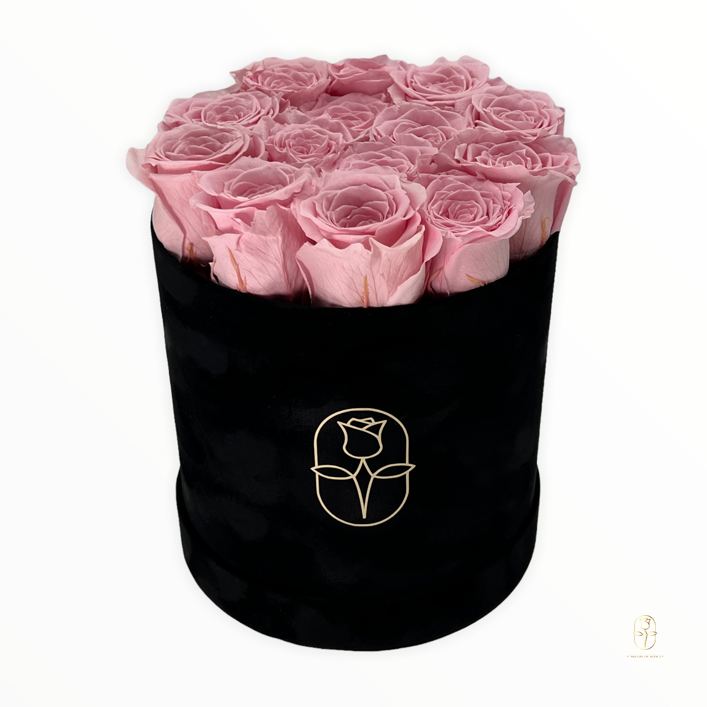 Velvet Round Rose Box Collection | Large