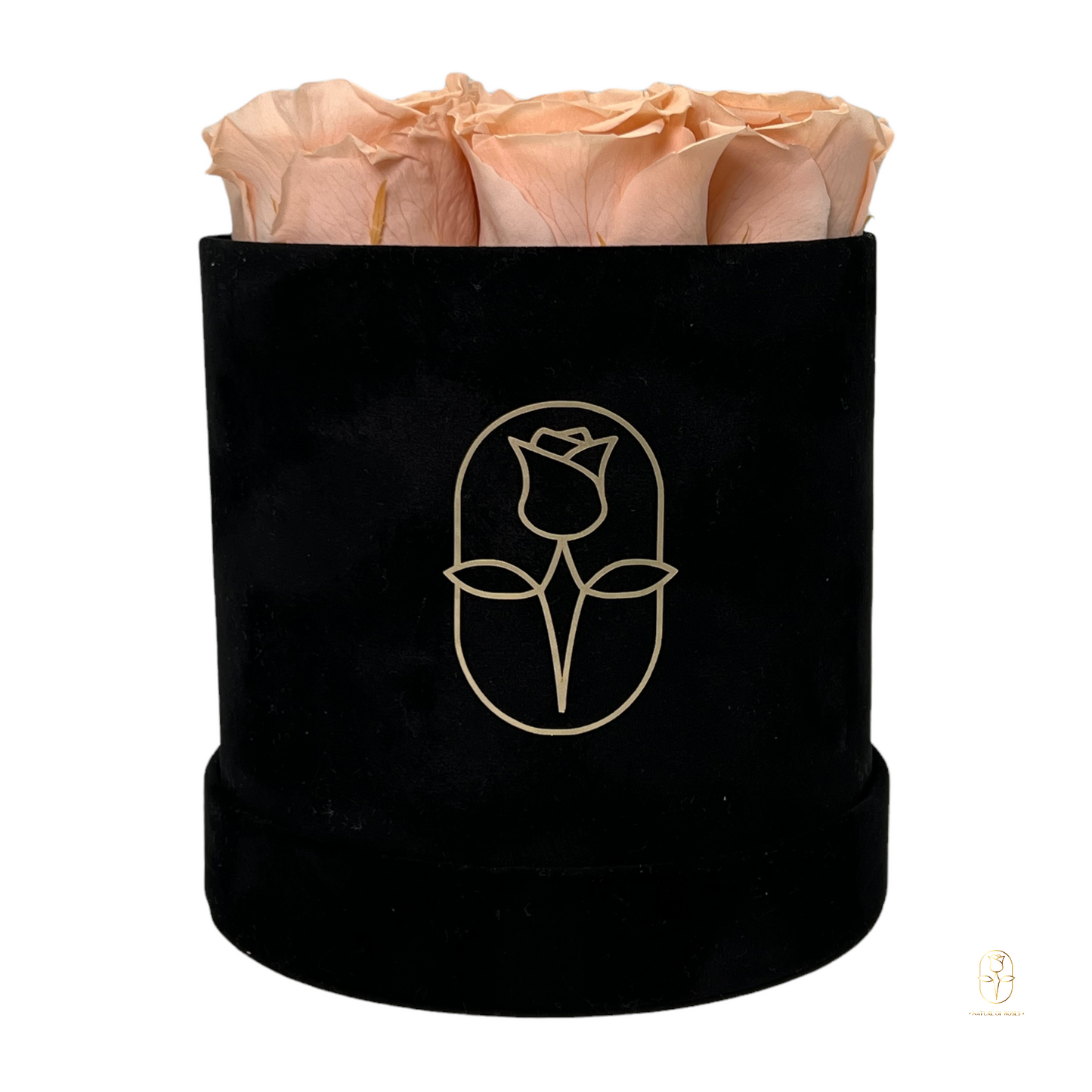 Velvet Round Rose Box Collection | Large
