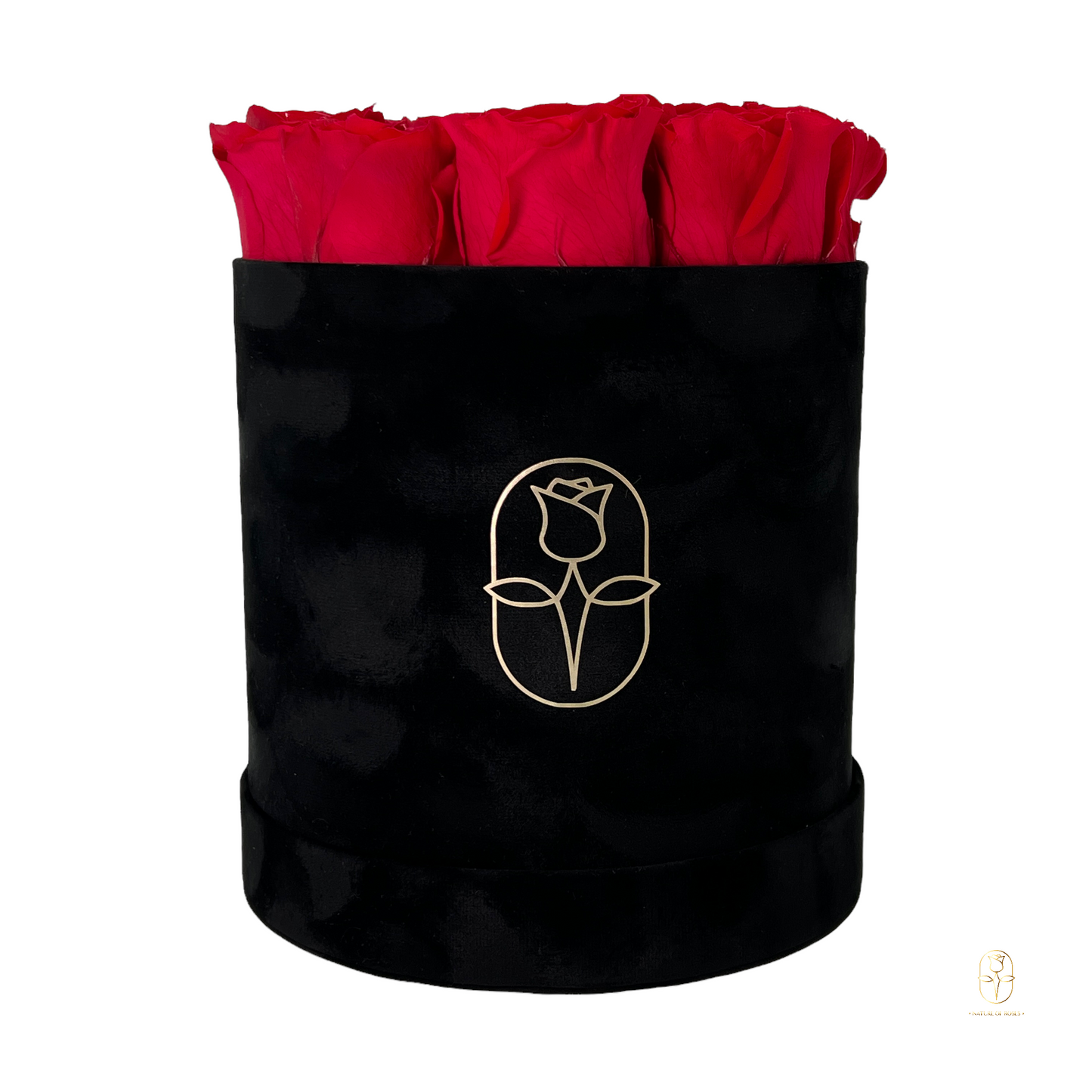 Velvet Round Rose Box Collection | Large