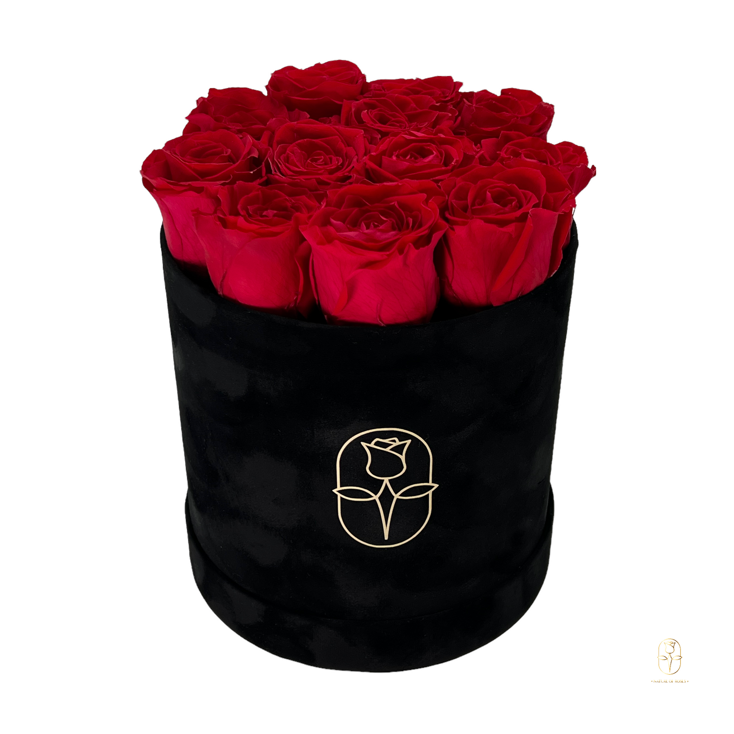 Velvet Round Rose Box Collection | Large