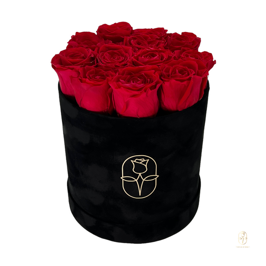 Velvet Round Rose Box Collection | Large