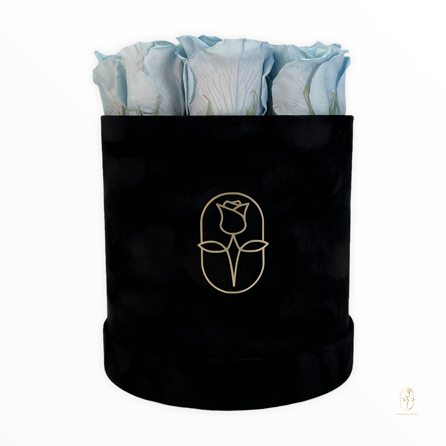 Velvet Round Rose Box Collection | Large