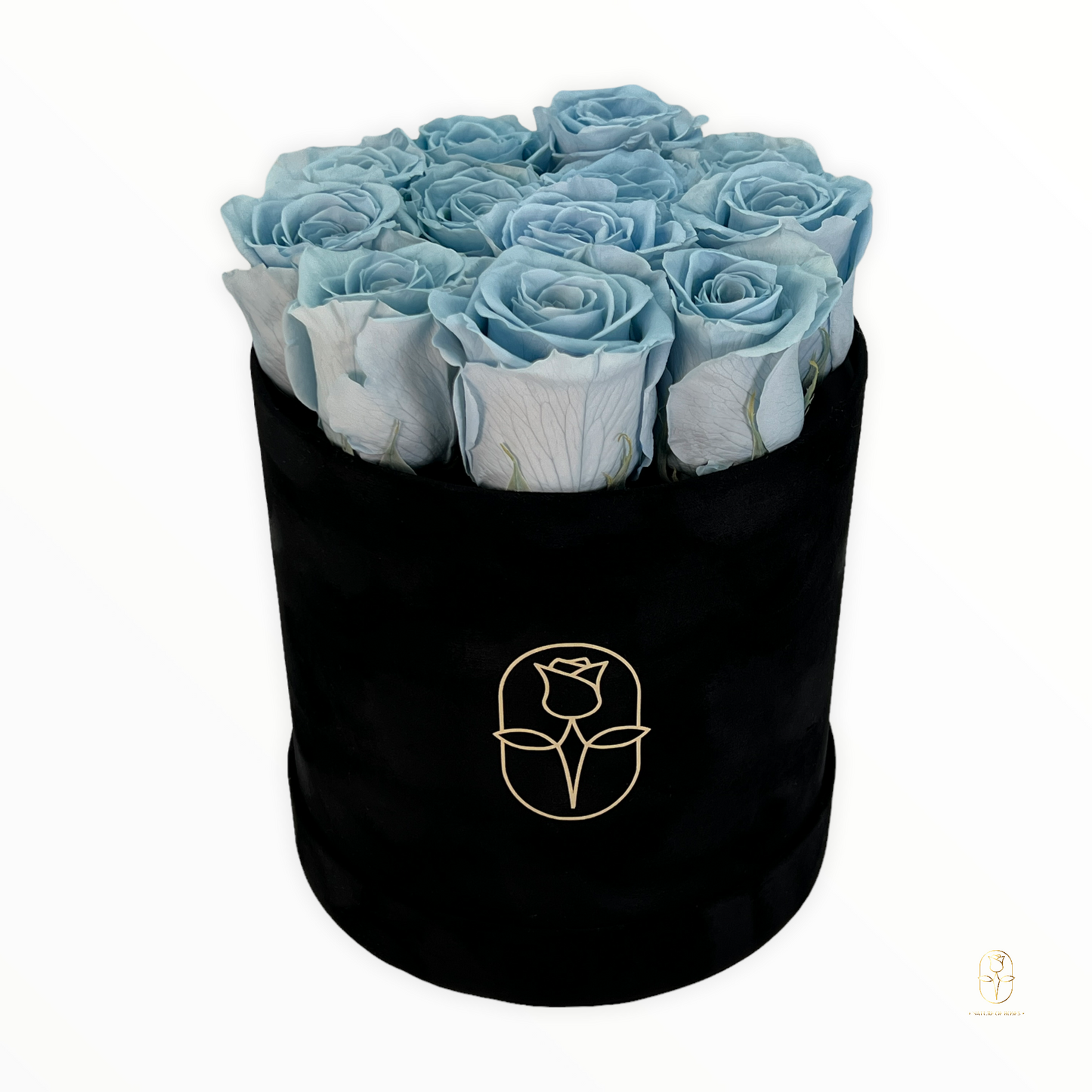 Velvet Round Rose Box Collection | Large