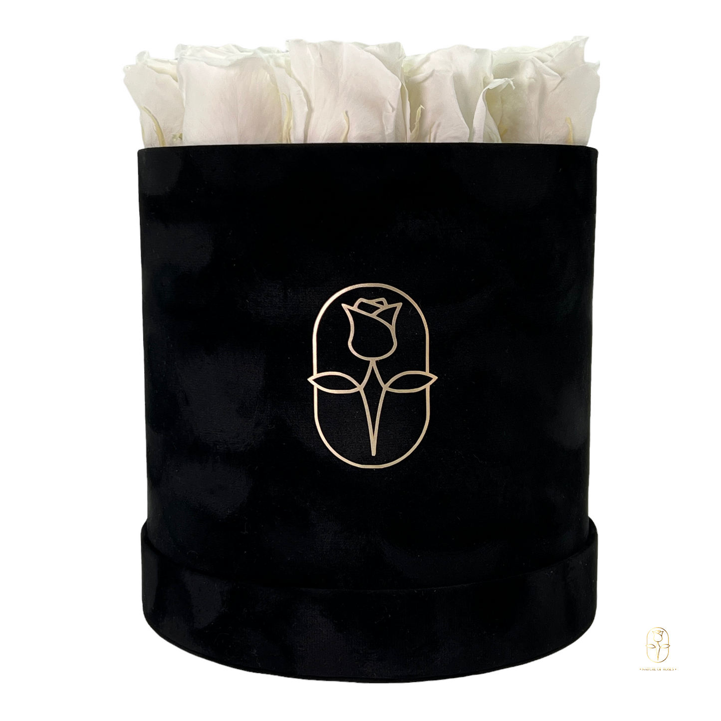 Velvet Round Rose Box Collection | Large