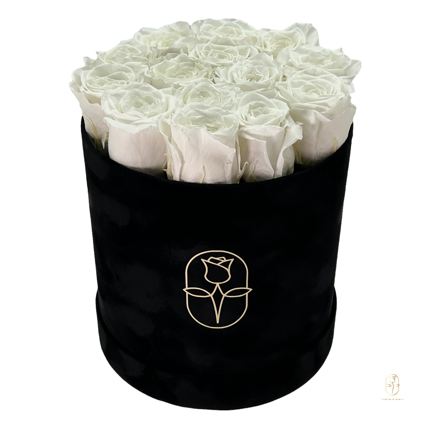 Velvet Round Rose Box Collection | Large