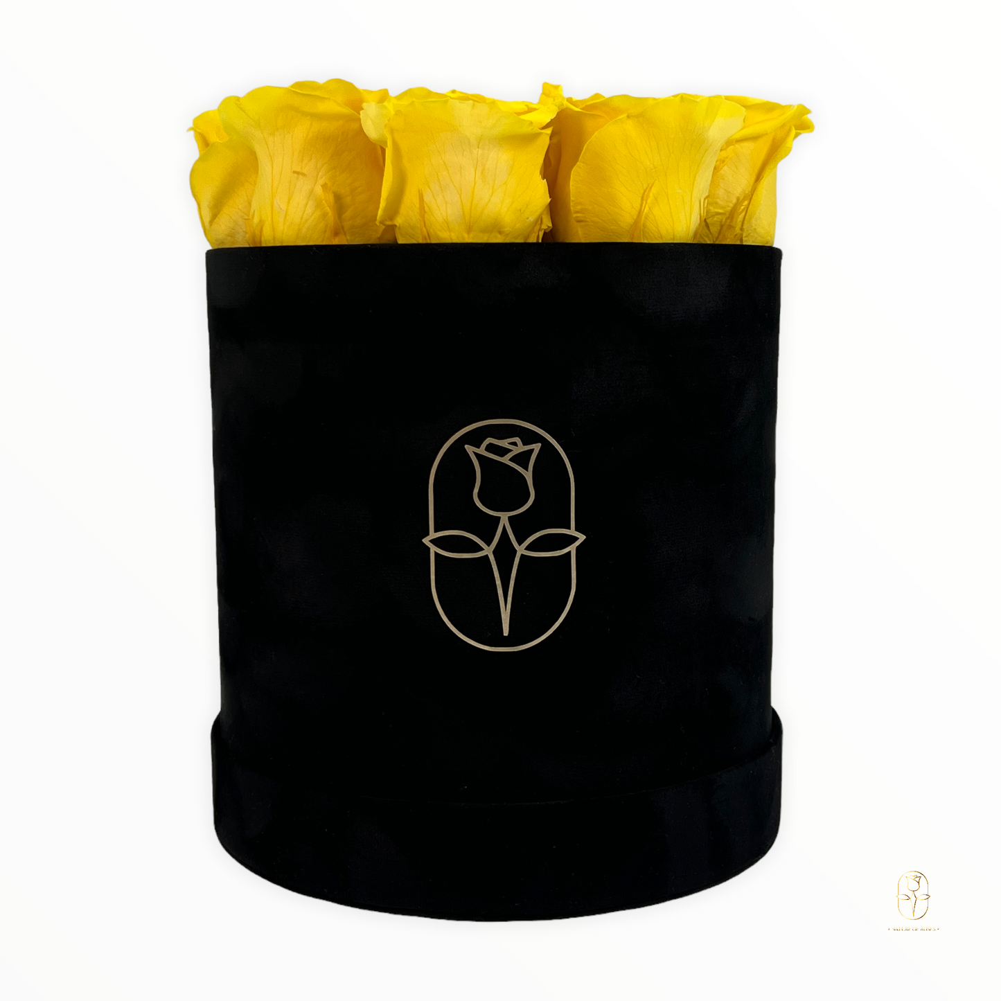 Velvet Round Rose Box Collection | Large