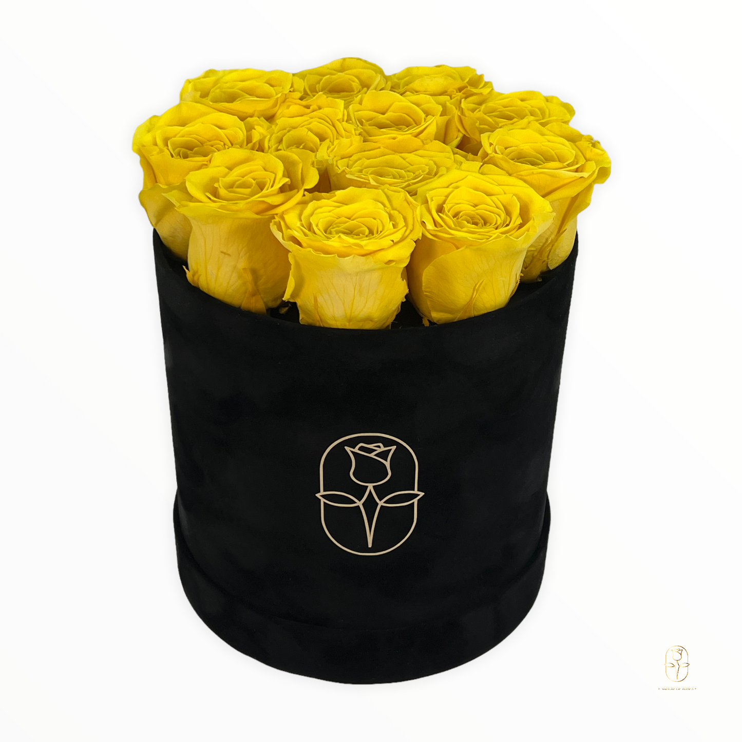 Velvet Round Rose Box Collection | Large
