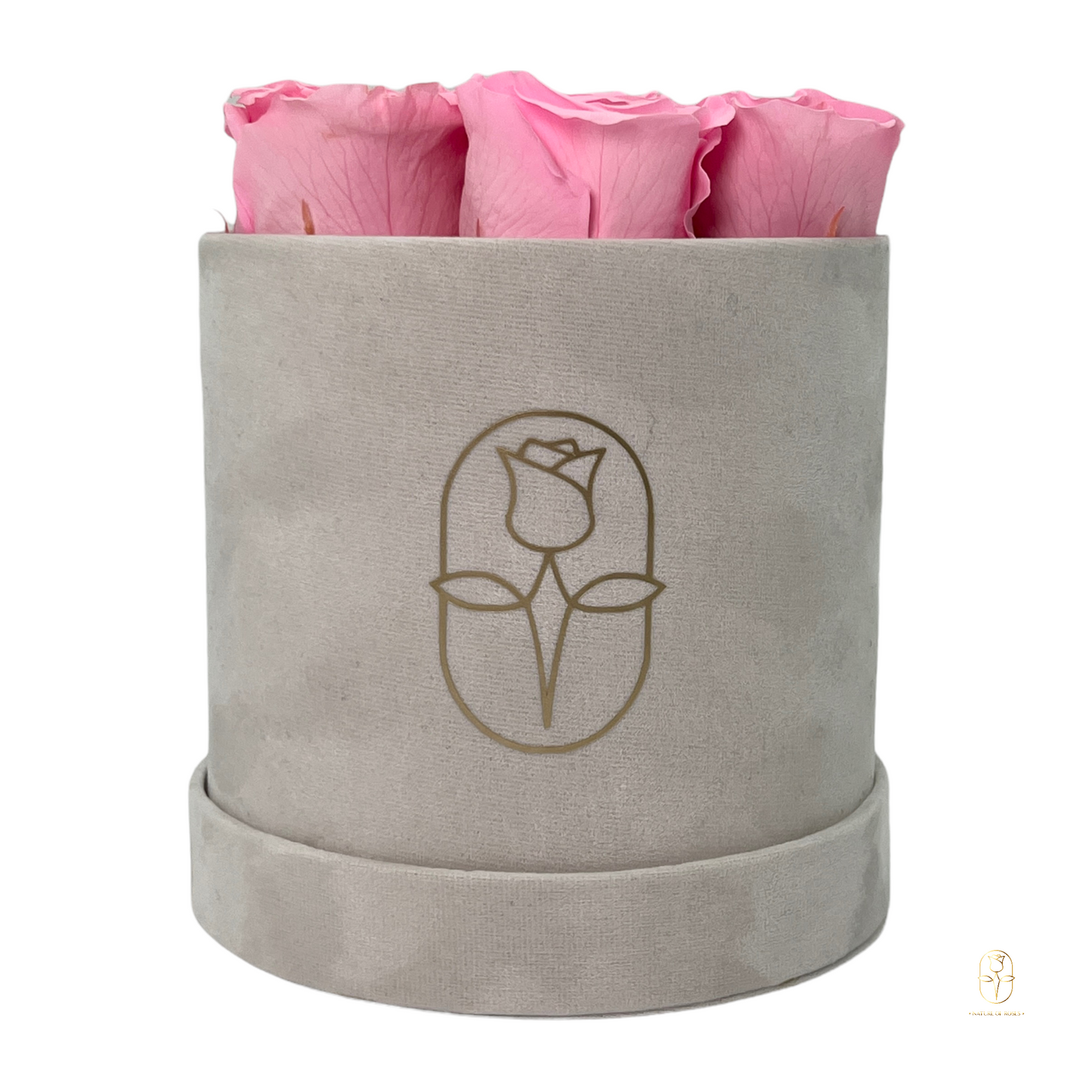 Velvet Round Rose Box Collection | Large