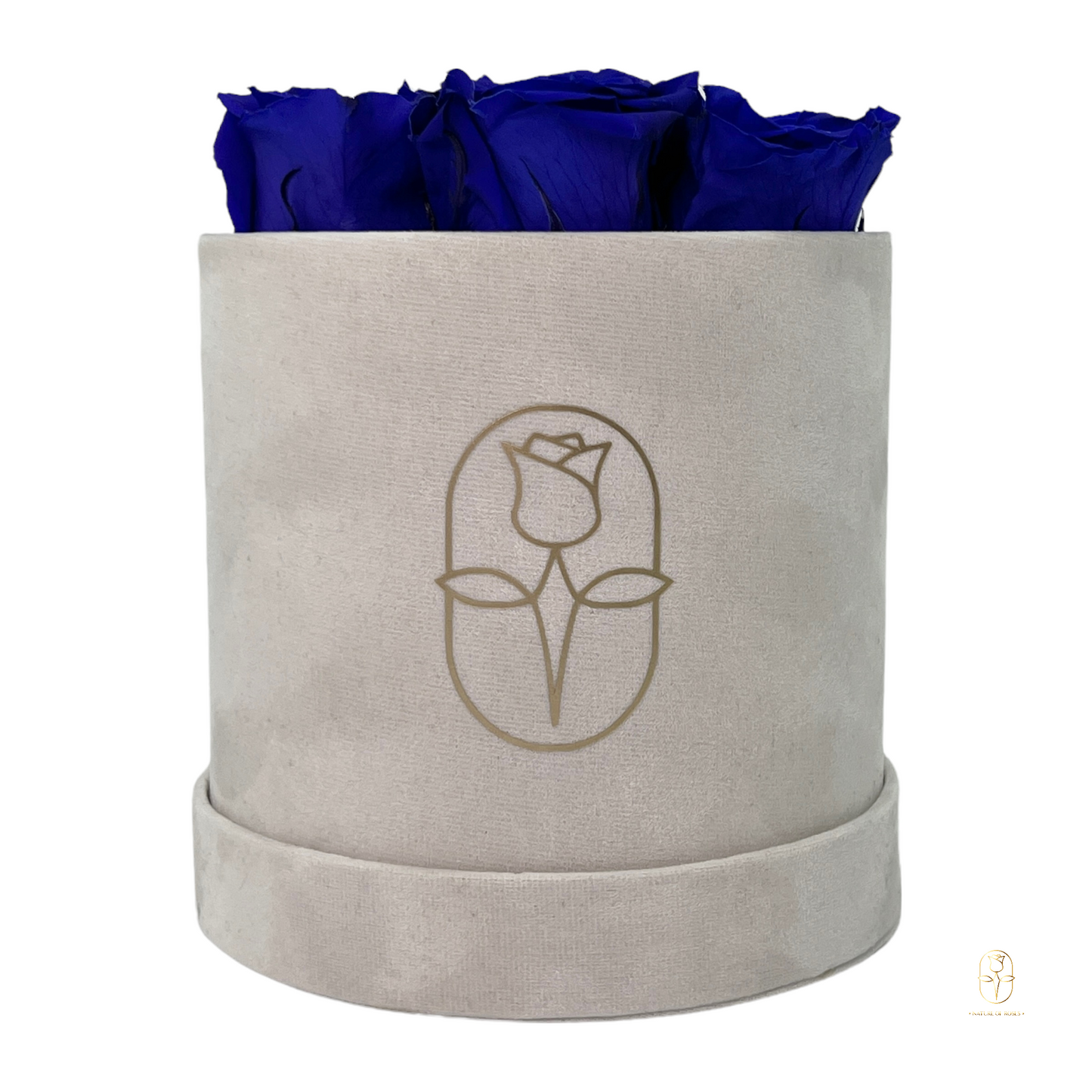 Velvet Round Rose Box Collection | Large