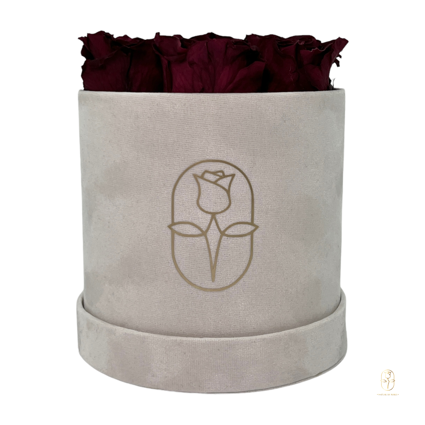Velvet Round Rose Box Collection | Large