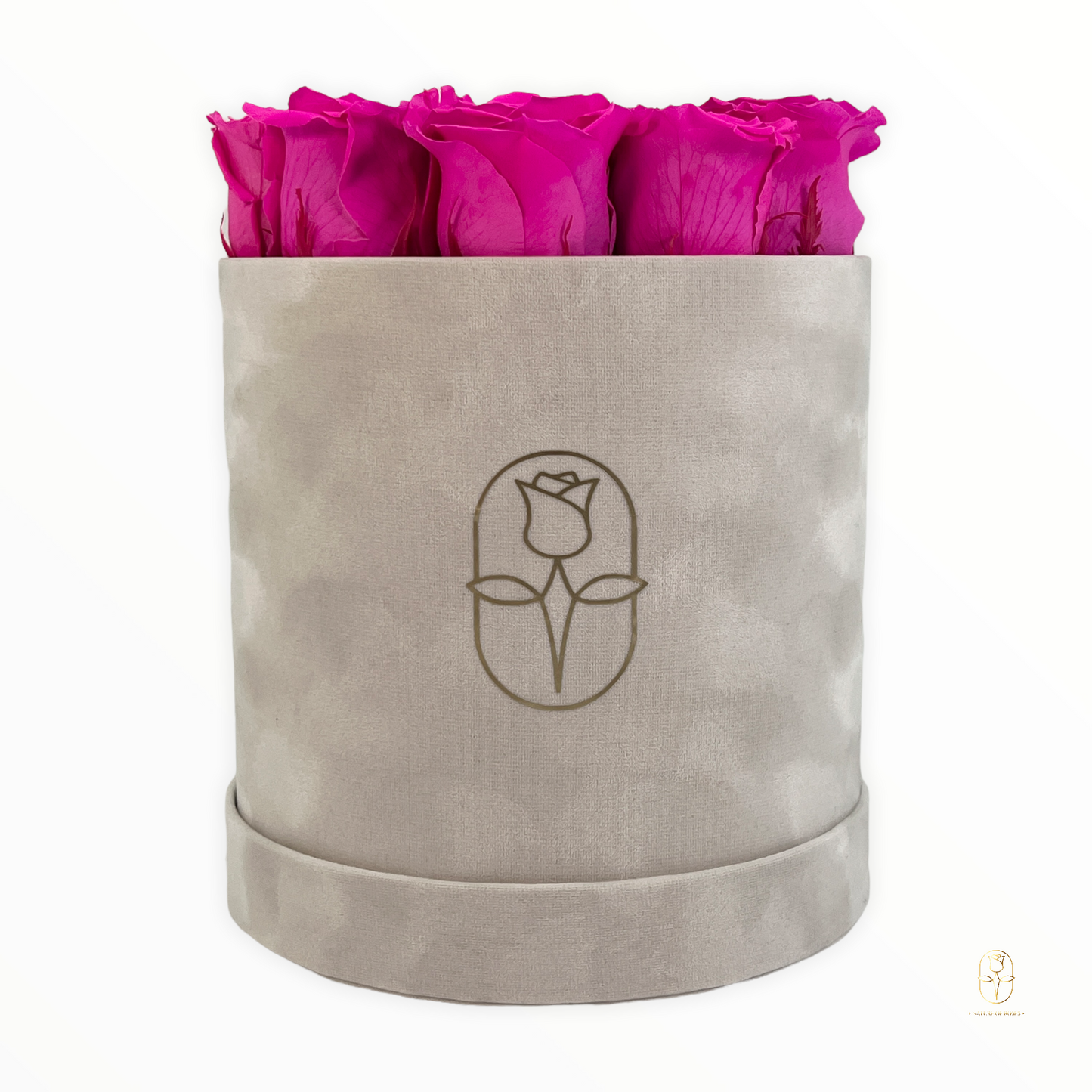 Velvet Round Rose Box Collection | Large