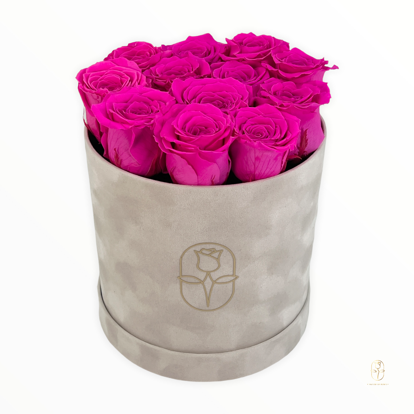 Velvet Round Rose Box Collection | Large