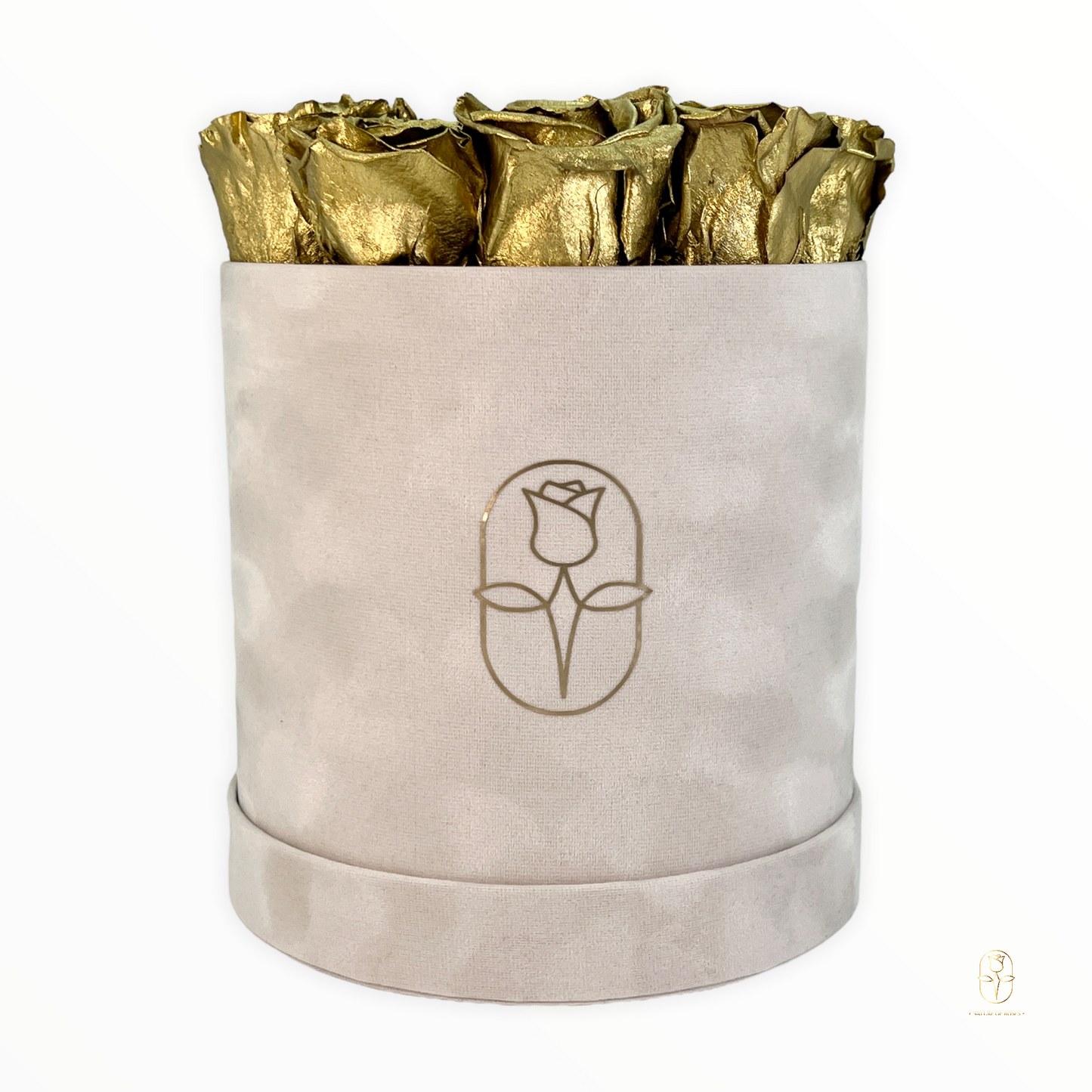 Velvet Round Rose Box Collection | Large