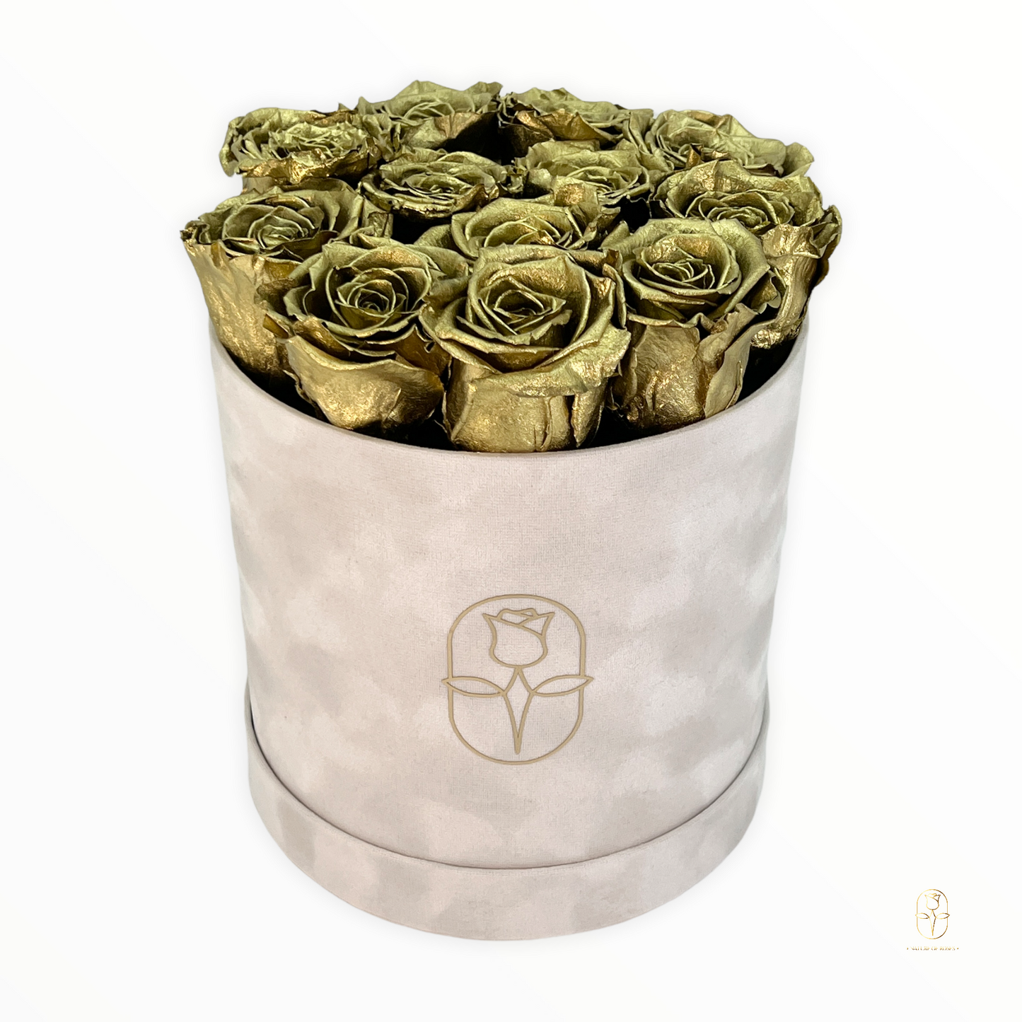 Velvet Round Rose Box Collection | Large