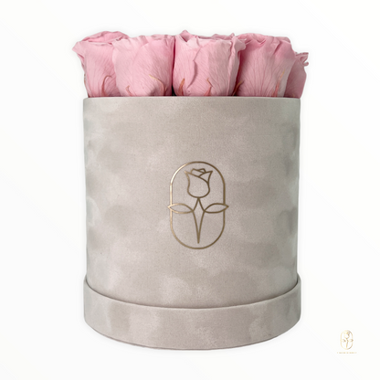 Velvet Round Rose Box Collection | Large