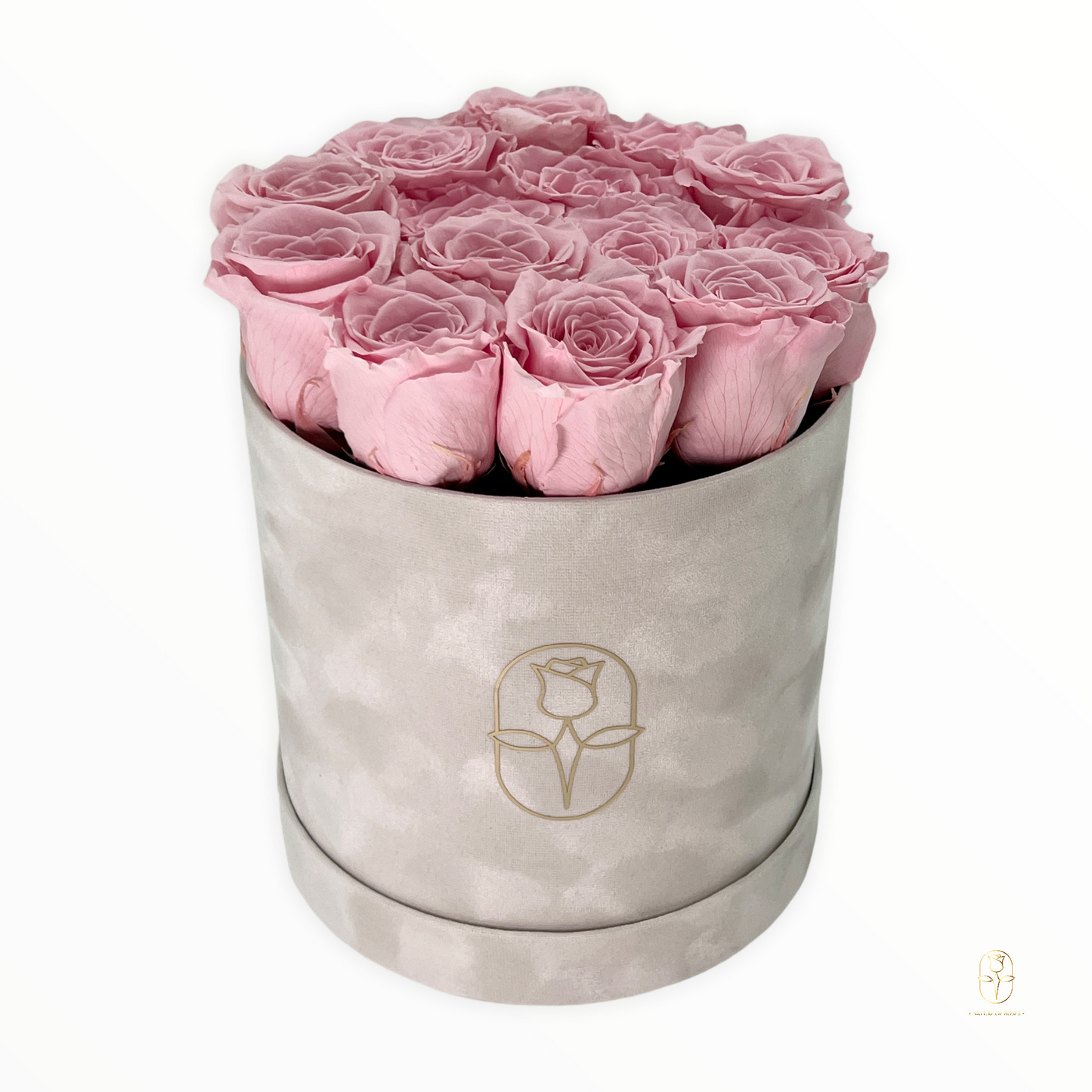 Velvet Round Rose Box Collection | Large
