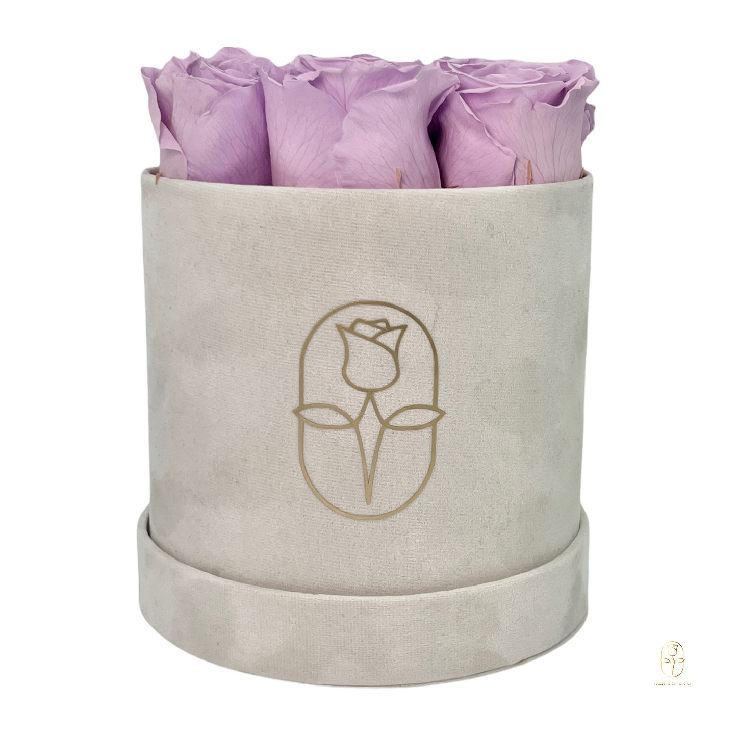 Velvet Round Rose Box Collection | Large