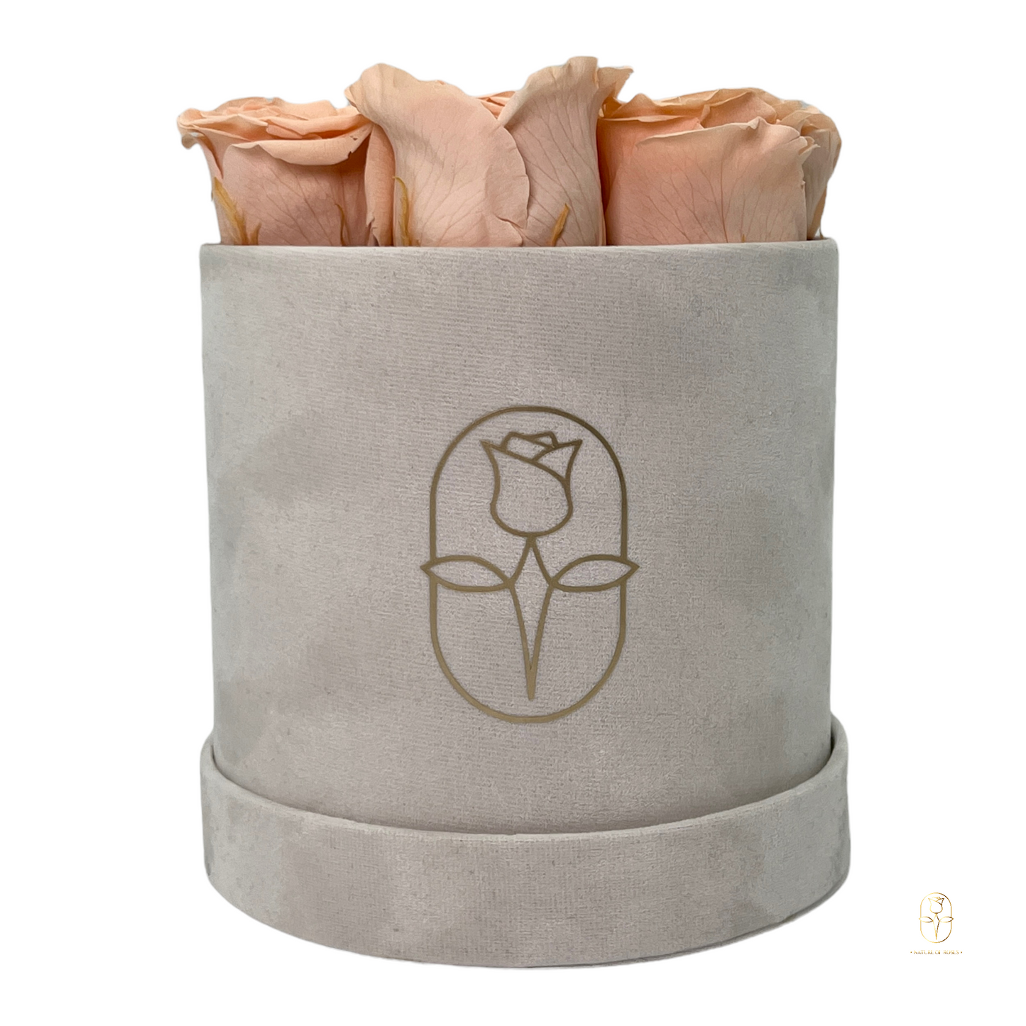 Velvet Round Rose Box Collection | Large