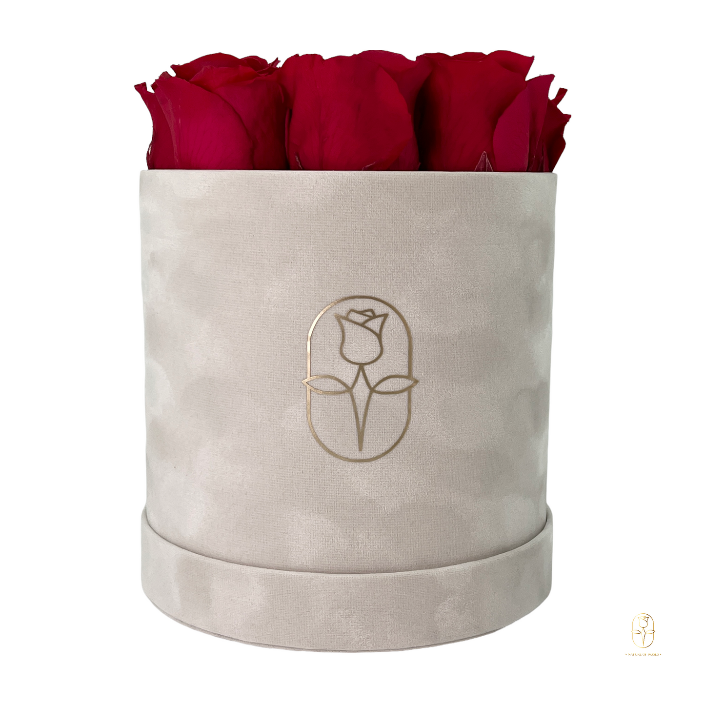 Velvet Round Rose Box Collection | Large