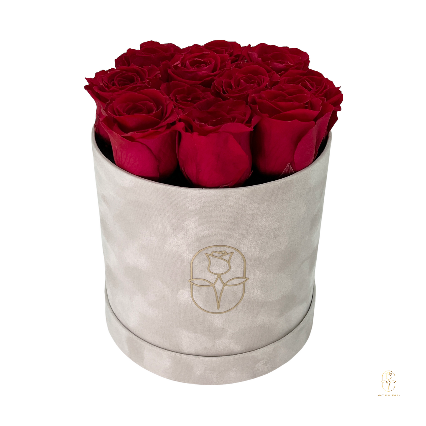 Velvet Round Rose Box Collection | Large