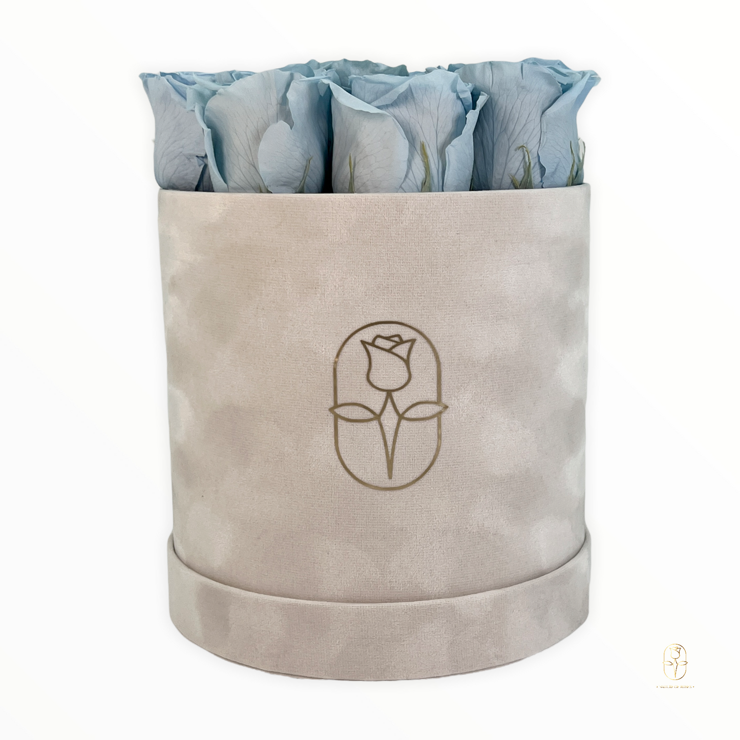 Velvet Round Rose Box Collection | Large