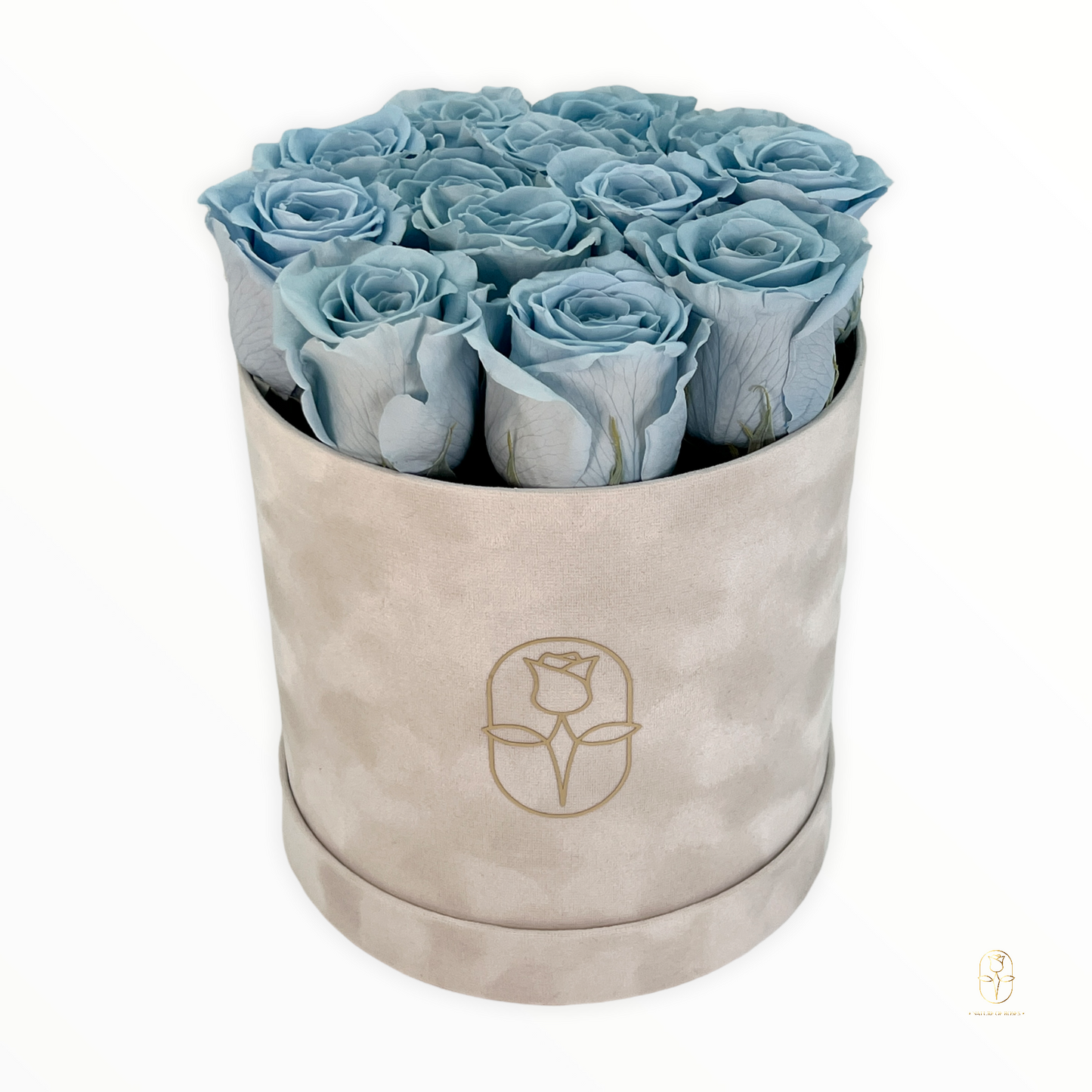 Velvet Round Rose Box Collection | Large