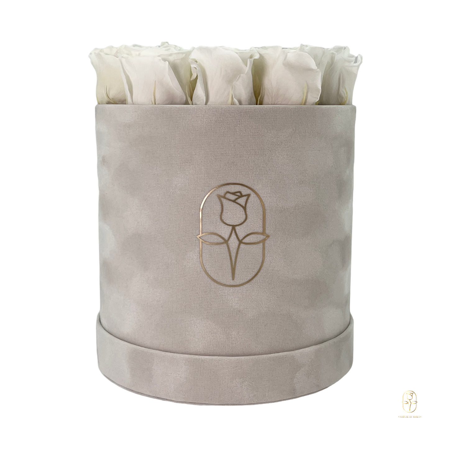 Velvet Round Rose Box Collection | Large
