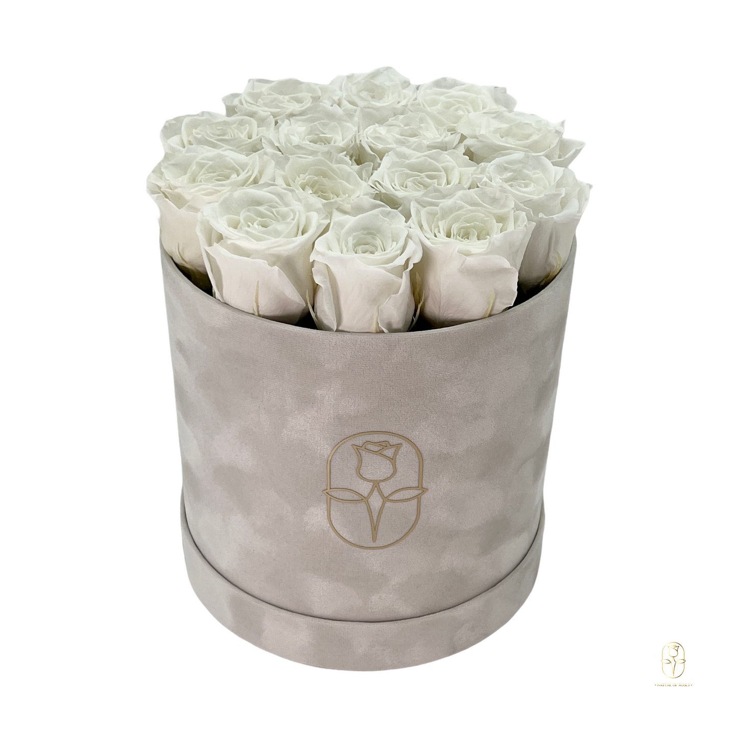 Velvet Round Rose Box Collection | Large