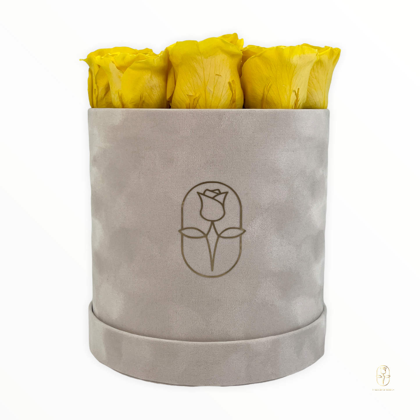 Velvet Round Rose Box Collection | Large