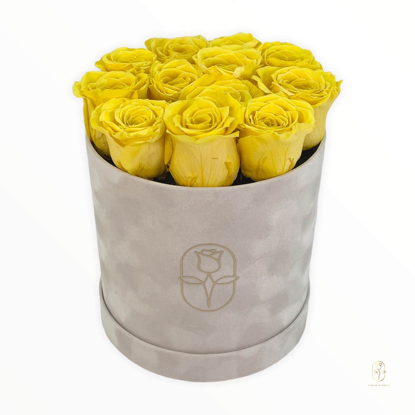 Velvet Round Rose Box Collection | Large
