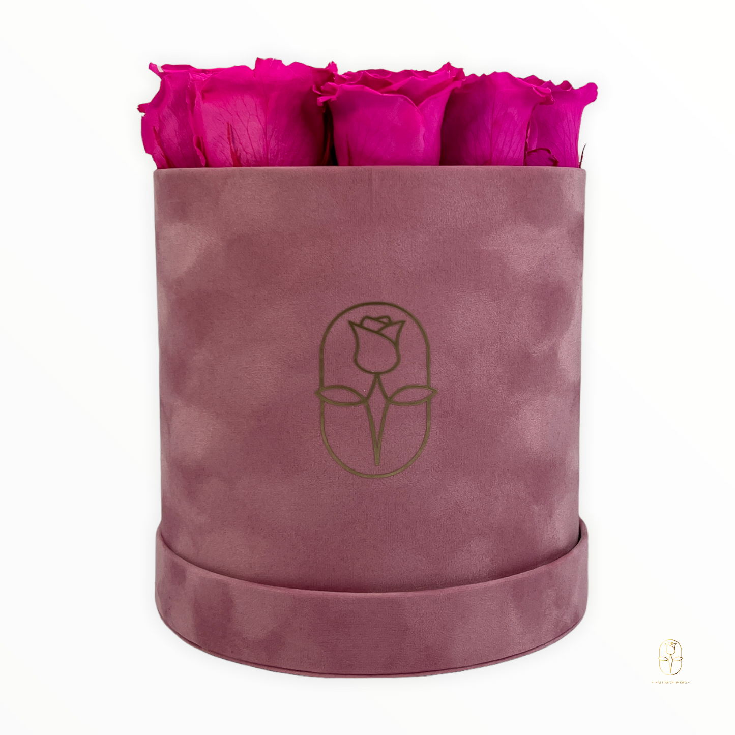 Velvet Round Rose Box Collection | Large