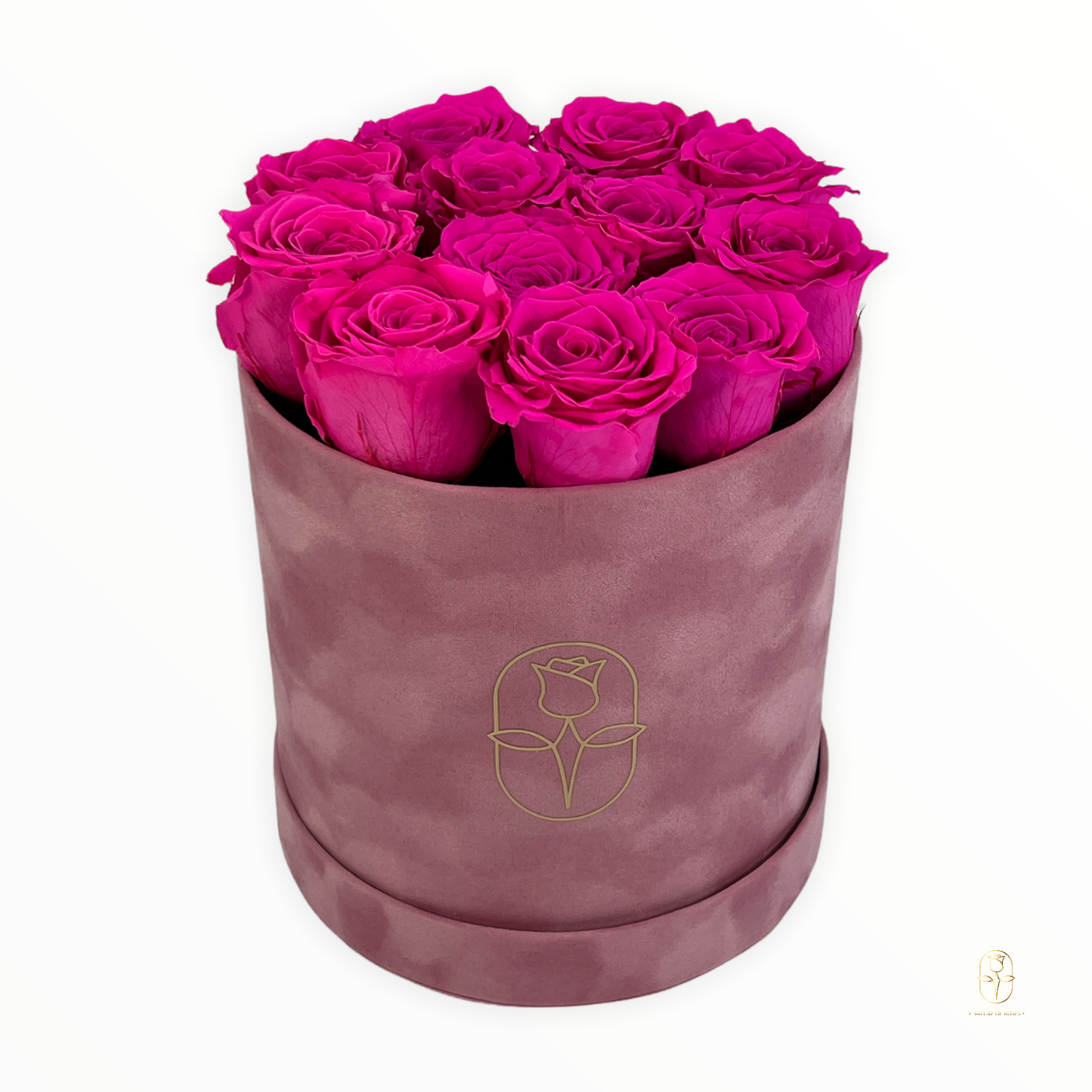 Velvet Round Rose Box Collection | Large