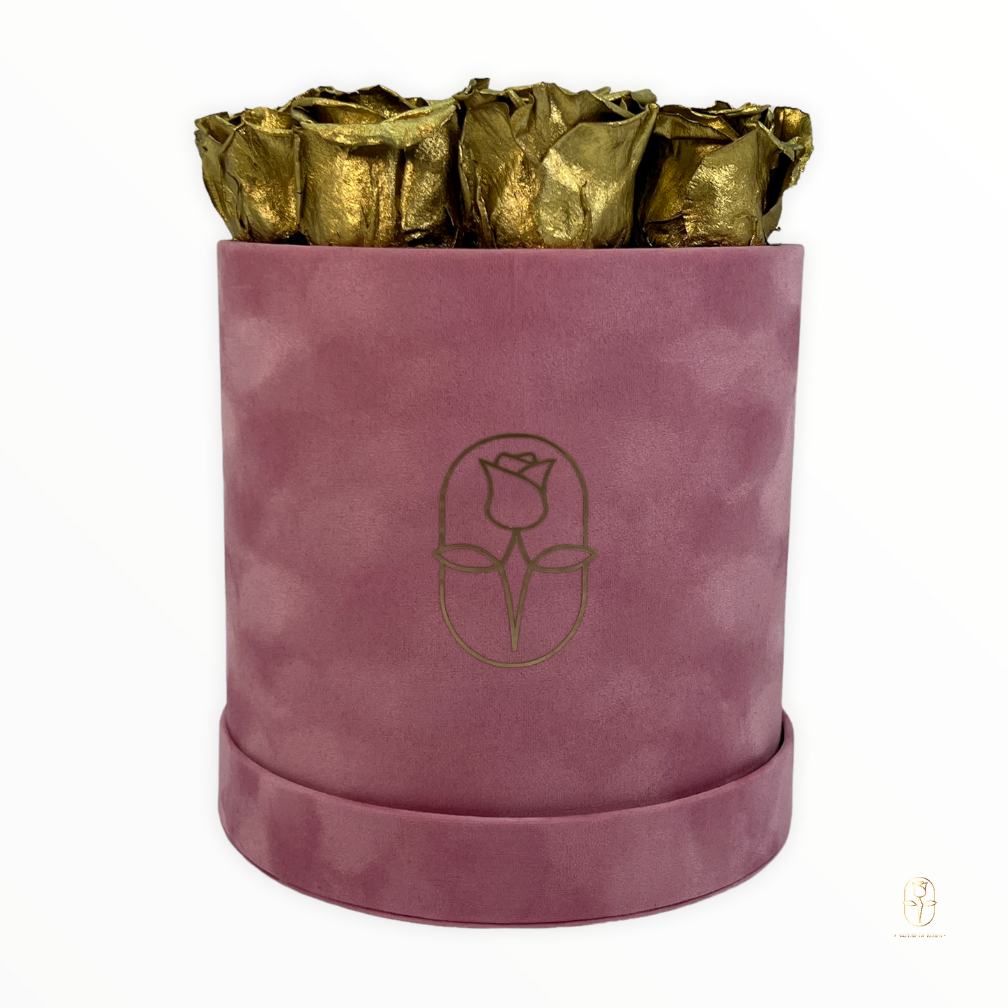 Velvet Round Rose Box Collection | Large