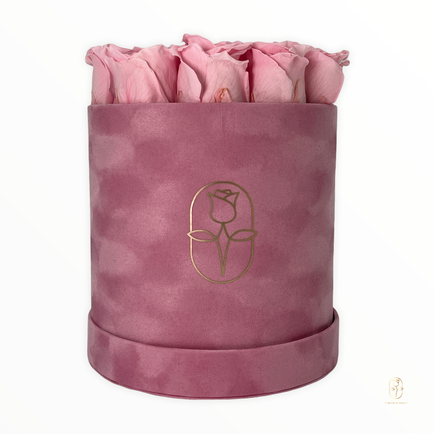 Velvet Round Rose Box Collection | Large
