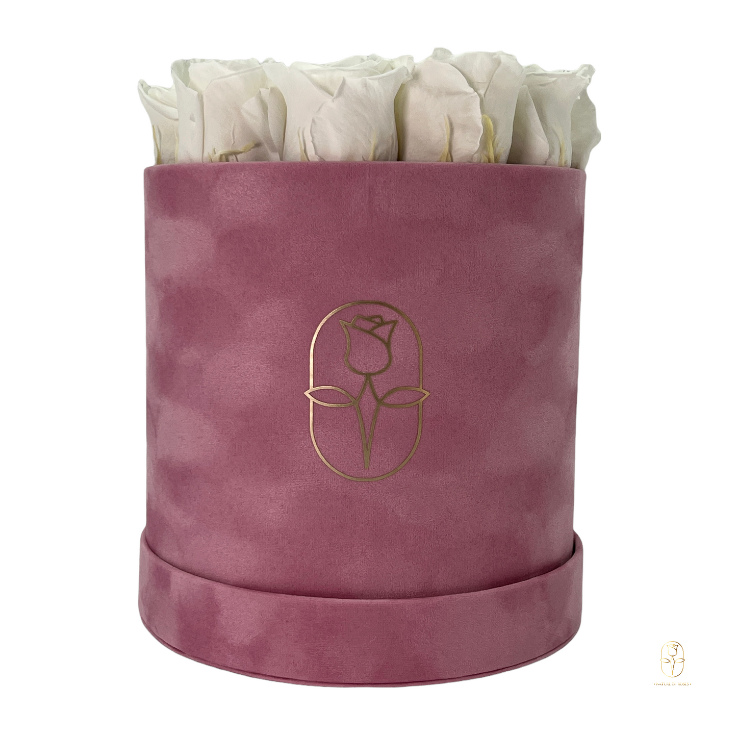 Velvet Round Rose Box Collection | Large