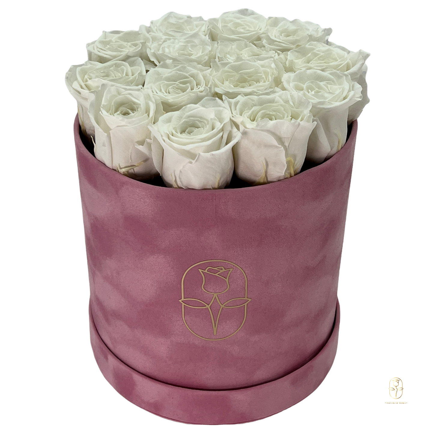 Velvet Round Rose Box Collection | Large