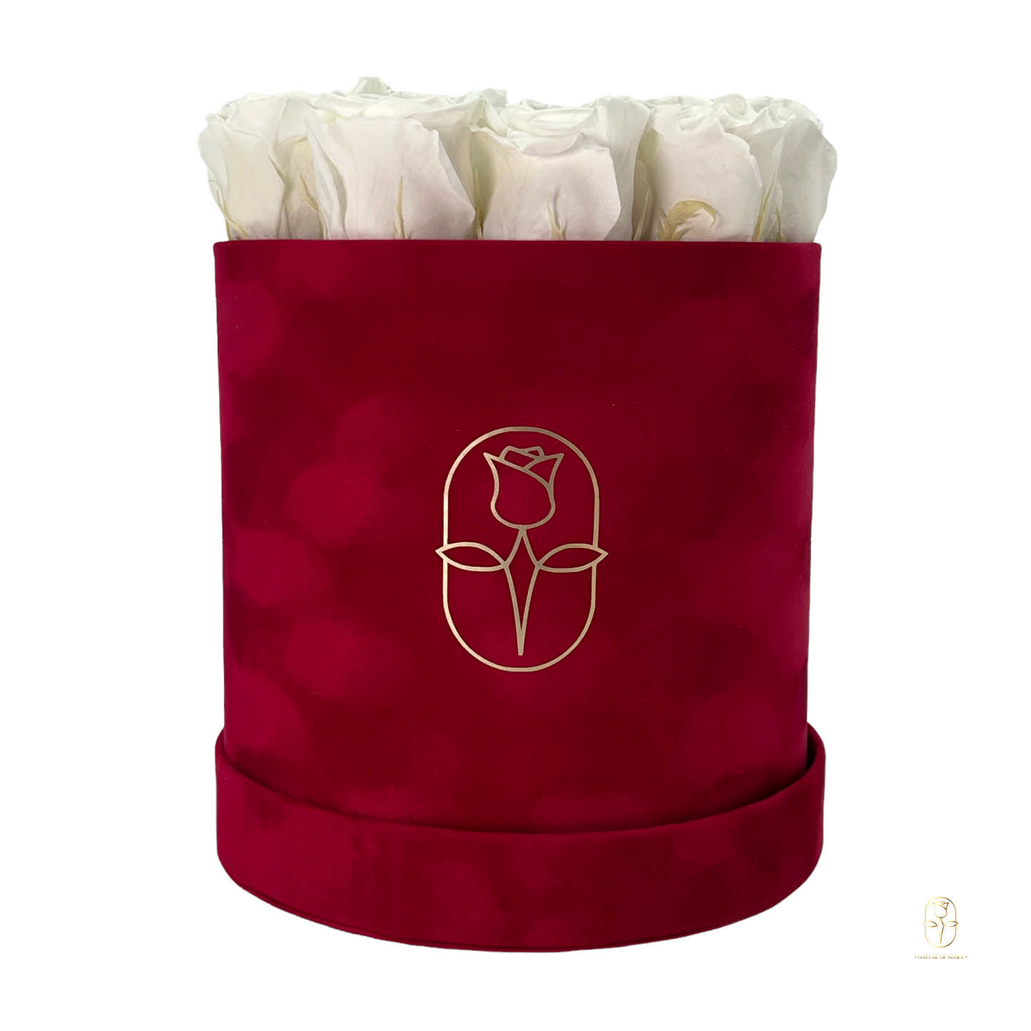 Velvet Round Rose Box Collection | Large