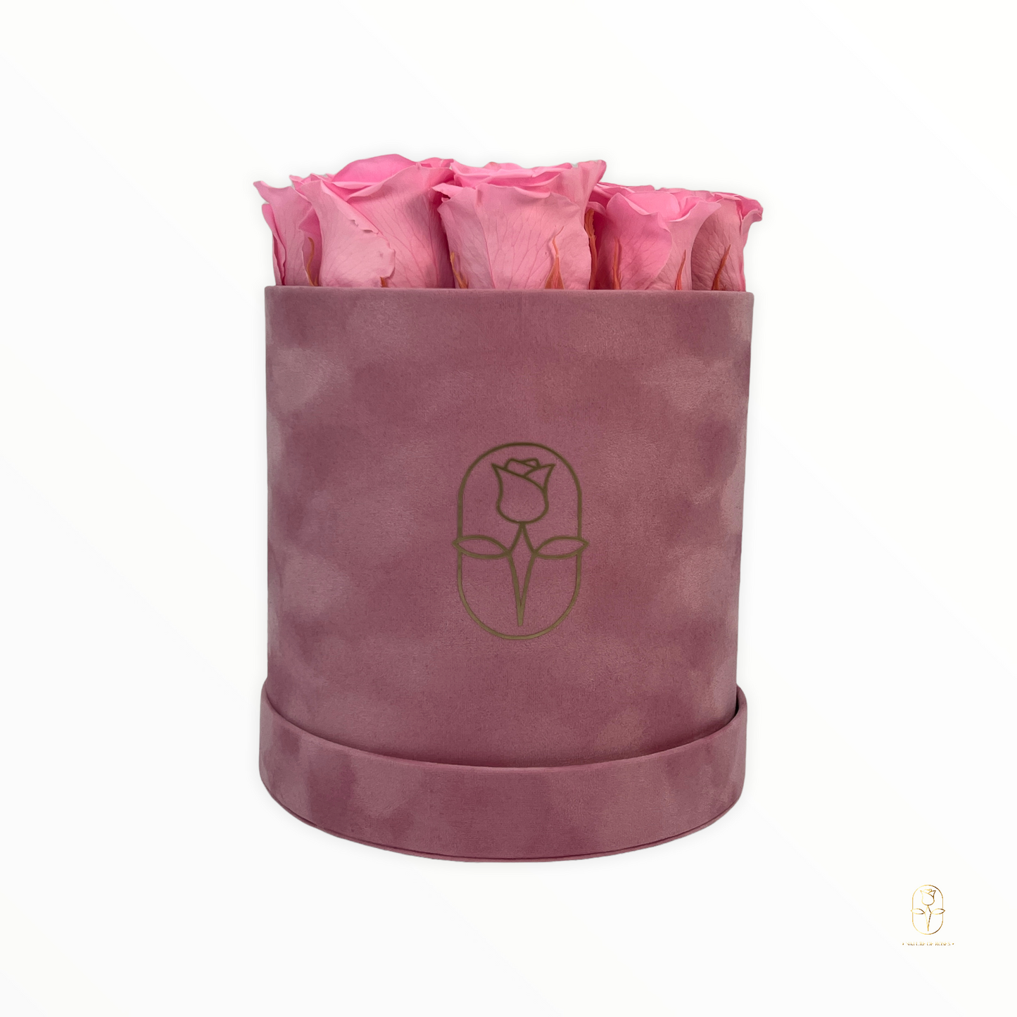 Velvet Round Eternal Rose Box Collection | Small